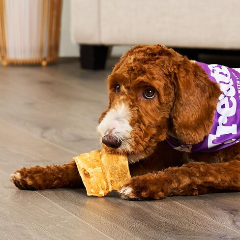 American Sourced Beefhide Chips Dog Chew Treats - Chicken Flavor, 32oz/1 Pack in Saudi Arabia