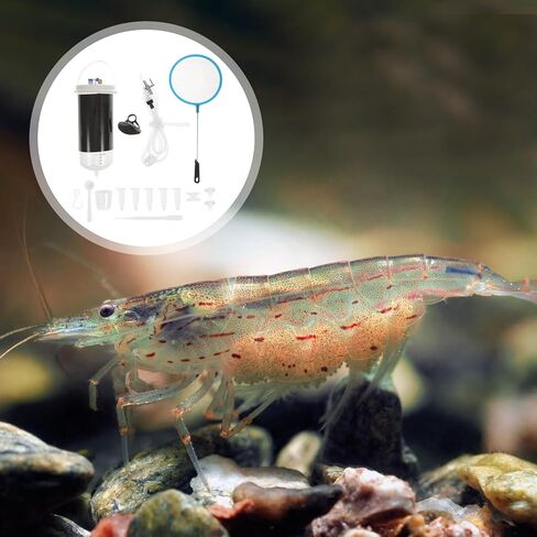 1 مجموعة المياه المالحة الروبيان التفريخ عدة حاضنة خزان الأسماك تربية الروبيان تربية هاتشر الأرتيميا أدوات الفقس أدوات سفينة التفريخ الروبيان المالح in Kuwait