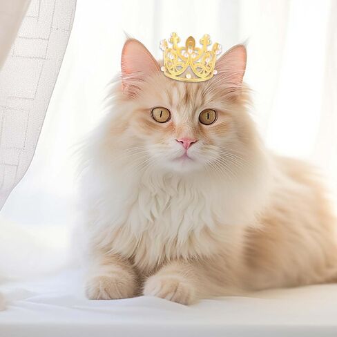 2PCS Pet Crown, Gold and Silver Small Dog Crown with Rhinestones and Faux Pearls Puppies Cat Hat Dog Birthday Hat for Pet Birthday Parties, Adoption Celebrations, Family Photos, Daily Wear in Saudi Arabia