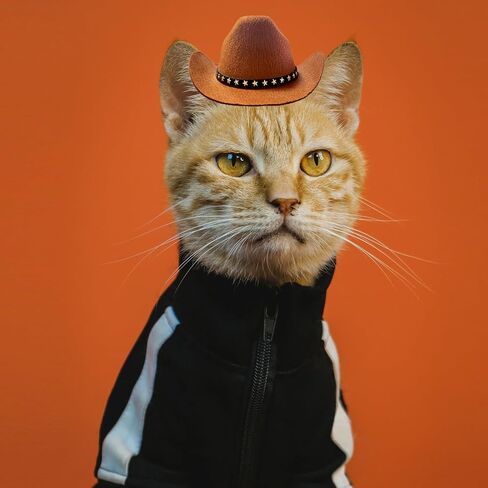 Dog Cowboy Hat Cat Cowboy Hat Pet Cowboy Costume Mini Cowboy Hat for Dogs Cat Holiday Halloween Pet Party Decoration (Beige, Small) in Saudi Arabia