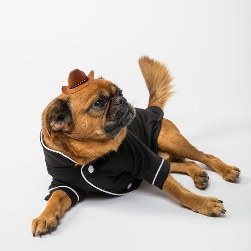 Dog Cowboy Hat Cat Cowboy Hat Pet Cowboy Costume Mini Cowboy Hat for Dogs Cat Holiday Halloween Pet Party Decoration (Beige, Small) in Saudi Arabia