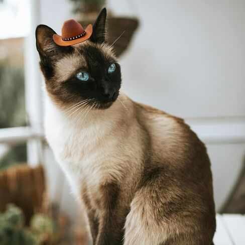 Dog Cowboy Hat Cat Cowboy Hat Pet Cowboy Costume Mini Cowboy Hat for Dogs Cat Holiday Halloween Pet Party Decoration (Beige, Small) in Saudi Arabia