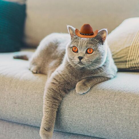 Dog Cowboy Hat Cat Cowboy Hat Pet Cowboy Costume Mini Cowboy Hat for Dogs Cat Holiday Halloween Pet Party Decoration (Beige, Small) in Saudi Arabia
