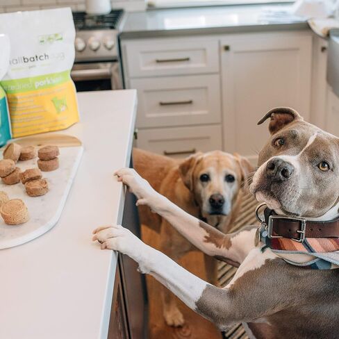 Smallbatch Pets نظام غذائي خام ممتاز مجفف بالتجميد للكلاب، عبوتان، وصفة دجاج، 14 أونصة في كل كيس (إجمالي 28 أونصة)، صنع في الولايات المتحدة الأمريكية، منتجات عضوية، لحم مرفوع بطريقة إنسانية، يرطب ويقدم الفطائر in Kuwait