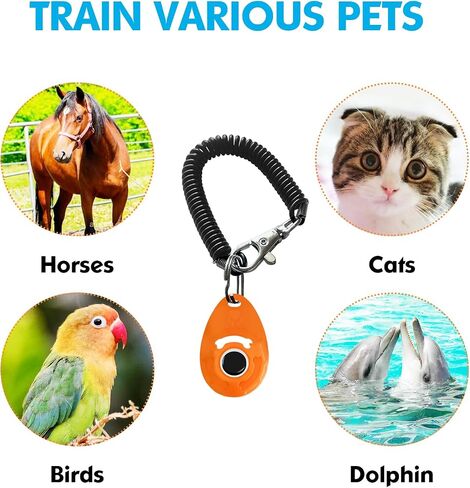 MODUS Pet Training Clicker for Dogs - Clicker with Adjustable Wrist Strap - Positive Reinforcement Clicker for Dogs, Cats, Puppies in Kuwait
