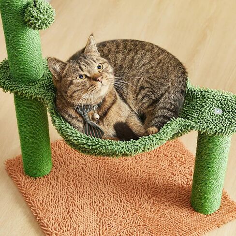 شقة قطط من شجرة الصبار من Catreaier مع أرجوحة دائرية وعمود ملفوف بالكامل من السيزال للقطط الداخلية in Kuwait