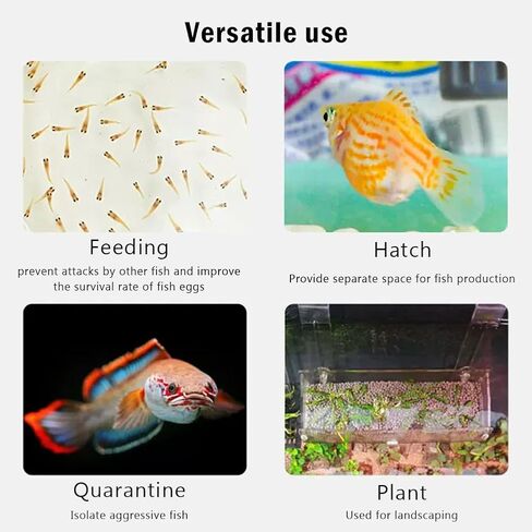 La La Pet® حامل نباتات حوض السمك المعلق القابل للتعديل صندوق مربي أكريليك لخزان الأسماك صندوق حضانة شفاف للتفريخ صندوق عزل للأسماك الصغيرة الكبيرة in Kuwait