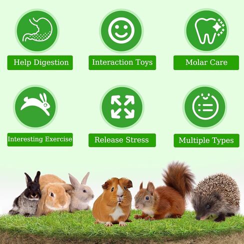 Rabbit Toys Guinea Pig Toys Chinchilla Toys Bunny Toys for Rabbit，Rabbit Chew Toys Bunny Chew Toys for Teeth,Natural Timothy Hay Chew and Treats Toys for Small Animals Teeth Care (Styles-1) in Saudi Arabia