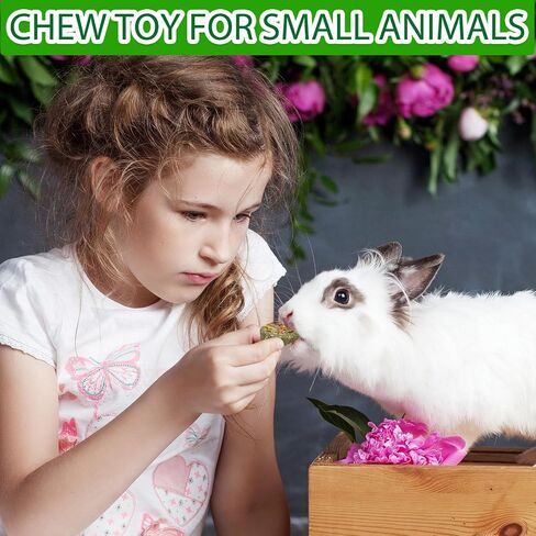 Rabbit Toys Guinea Pig Toys Chinchilla Toys Bunny Toys for Rabbit，Rabbit Chew Toys Bunny Chew Toys for Teeth,Natural Timothy Hay Chew and Treats Toys for Small Animals Teeth Care (Styles-1) in Saudi Arabia