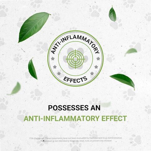 Lion's Blood Pressure | Natural Herbal Dietary Supplement for Cats | Healthy Blood Pressure Support in Cats | Alcohol-Free Extract, Hawthorn, Buchu, Garlic, Celery 2 oz in Saudi Arabia