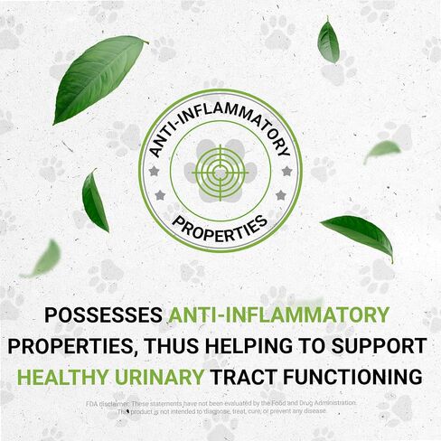 Lion's Urinary | Natural Herbal Dietary Supplement for Cats | Healthy Urinary System Support in Cats | Alcohol-Free Extract, Uva Ursi, Cranberry, Parsley Leaf, Dandelion Leaf, Stone Root 2 oz in Saudi Arabia