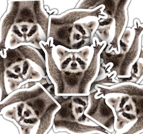 ملصق سيارة لطيف ومضحك من طراز Raccoon Rocking، عالي الجودة، ملصق فينيل مقاوم للطقس للسيارة والكمبيوتر المحمول والنافذة والخزان in Kuwait