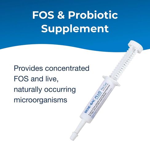 Pet-Ag Bene-Bac Plus Pet Gel - 15 g Syringe - FOS & Probiotics for Dogs, Cats, Exotic & Wildlife Mammals in Kuwait
