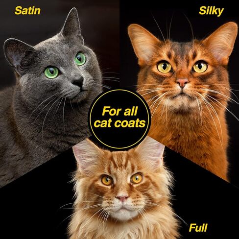 كريس كريستنسن توب كات بخاخ تصفيف مضاد للكهرباء الساكنة للقطط، العريس مثل المحترفين، يقلل من الكهرباء الساكنة، ويضيف سهولة الإدارة، صنع في الولايات المتحدة الأمريكية، 8 أونصة in Kuwait