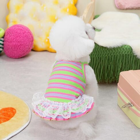 Winmany Dog ملابس الصيف جرو بلا أكمام مخطط سترة تي شيرت الحيوانات الأليفة توتو تنورة فساتين القط مناسبة للكلاب الصغيرة المتوسطة القط (الأخضر، كبير) in Kuwait