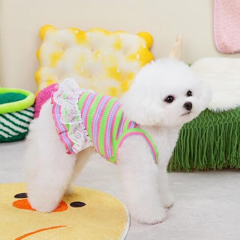 Winmany Dog ملابس الصيف جرو بلا أكمام مخطط سترة تي شيرت الحيوانات الأليفة توتو تنورة فساتين القط مناسبة للكلاب الصغيرة المتوسطة القط (الأخضر، كبير) in Kuwait