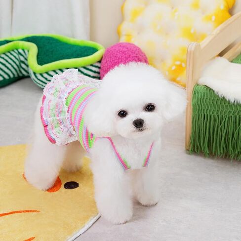 Winmany Dog ملابس الصيف جرو بلا أكمام مخطط سترة تي شيرت الحيوانات الأليفة توتو تنورة فساتين القط مناسبة للكلاب الصغيرة المتوسطة القط (الأخضر، كبير) in Kuwait