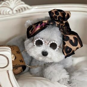 KUDES Cute Dog Sunglasses Pearl Dog Sunglasses Small Medium Breed Girl Holiday Party Dog Costume Accessories