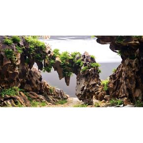 AWERT 30x18 inches Viewing Stone Fish Tank Background Aquatic Plant River Bed & Lake Aquarium Background Seaweed Aquarium Vinyl Background