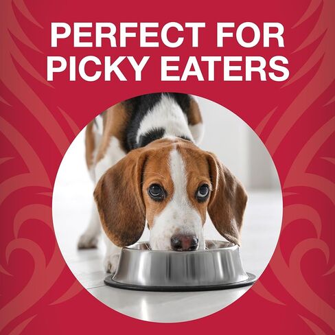 Raw Life Freeze-Dried Raw Bites Beef for Dogs, High Protein Meal, Topper, and Treat for Picky Eaters, 14oz Bag in Saudi Arabia