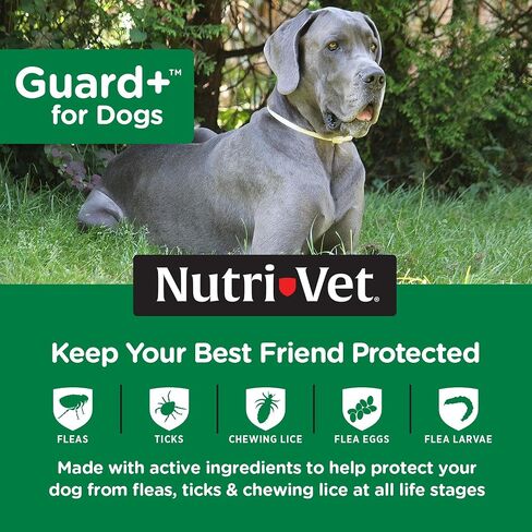 Nutri-Vet Guard+ للكلاب - علاج للوقاية من البراغيث والقراد للكلاب الكبيرة جدًا بوزن 89-132 رطلاً. - موضعي مقاوم للماء - حماية لمدة 90 يومًا - 3 جرعات شهرية in Kuwait