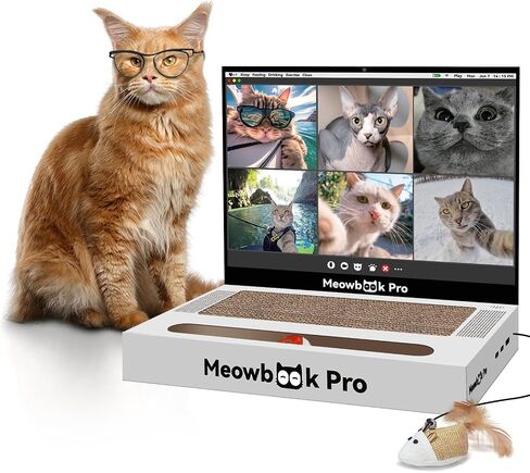 Cat Scratcher Laptop with 'Mouse' Jingle Ball, Stickers, 3-in-1 Cardboard Cat Interactive Toy, Kitten Toy & Cat Scratching Pad in Saudi Arabia