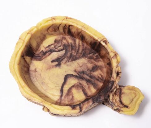 QIRMIZI Reptile Decor, Reptile Food Bowl,Plastic Reptile Platform with Artificial Plants - Basking Habitat Decor for Lizard, Turtle, Frog, Snake in Kuwait