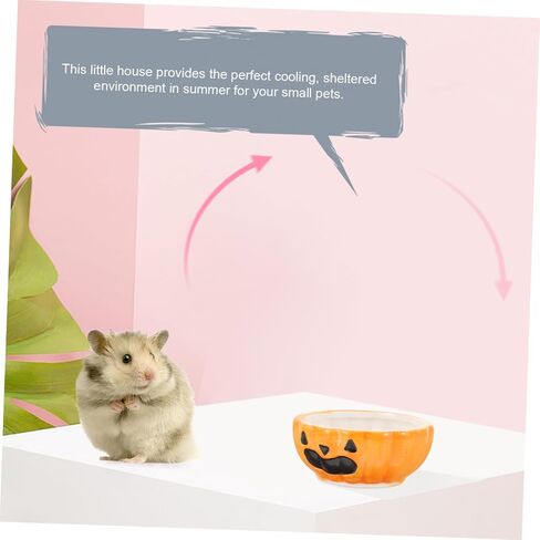 Guinea Pig Guinea Pig Hamster Food Plate Guinea Pig pet Accessories pet Feeder Hamster Water Bowl pet Supply Small Animal Feeding & Watering Supplies Food Rack Ceramics Pumpkin in Saudi Arabia