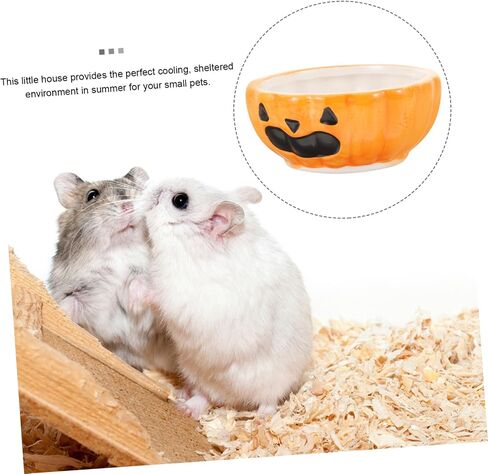 Guinea Pig Guinea Pig Hamster Food Plate Guinea Pig pet Accessories pet Feeder Hamster Water Bowl pet Supply Small Animal Feeding & Watering Supplies Food Rack Ceramics Pumpkin in Saudi Arabia