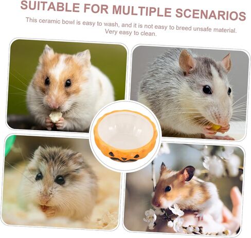 Guinea Pig Guinea Pig Hamster Food Plate Guinea Pig pet Accessories pet Feeder Hamster Water Bowl pet Supply Small Animal Feeding & Watering Supplies Food Rack Ceramics Pumpkin in Saudi Arabia