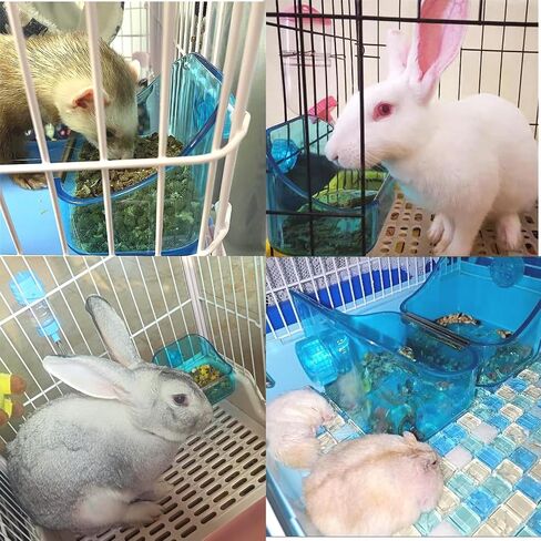 Rabbit Food Bowl Ferret Cage Plastic Food Dish Prevent Overturning of Transparent Fixed Double Use Container for Rabbit Chinchilla Guinea Pig Ferret（2Pcs） in Saudi Arabia