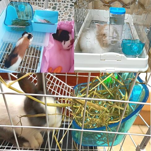 Rabbit Food Bowl Ferret Cage Plastic Food Dish Prevent Overturning of Transparent Fixed Double Use Container for Rabbit Chinchilla Guinea Pig Ferret（2Pcs） in Saudi Arabia