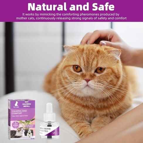 Cat Pheromones Calming Diffuser Refill, 6 Pack Cat Calming Diffuser Refills Kit, Relieve Anxiety Stress 180 Days for Cats Calm, 48ml Fit All Common Diffusers Plug in in Kuwait