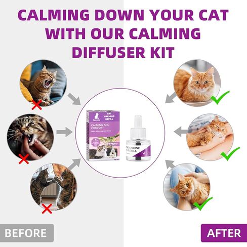 Cat Pheromones Calming Diffuser Refill, 6 Pack Cat Calming Diffuser Refills Kit, Relieve Anxiety Stress 180 Days for Cats Calm, 48ml Fit All Common Diffusers Plug in in Kuwait