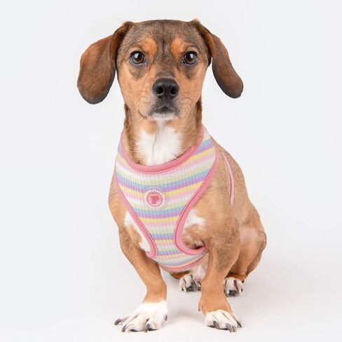 Maire Jacket Dog Harness - Blue - S in Saudi Arabia