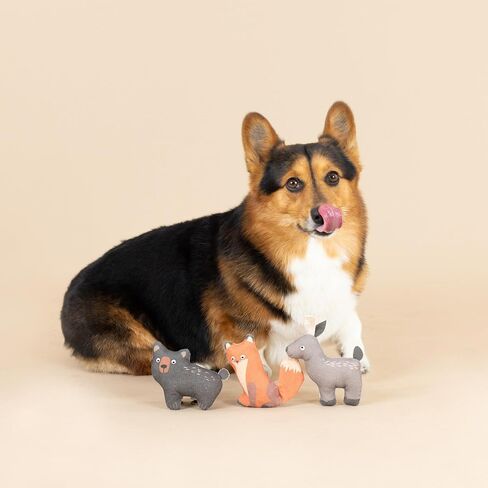 Fringe Studio "Forest Friends Canvas Dog Toy, Mini Toy Set of 3, PetShop Collection (521020) in Saudi Arabia