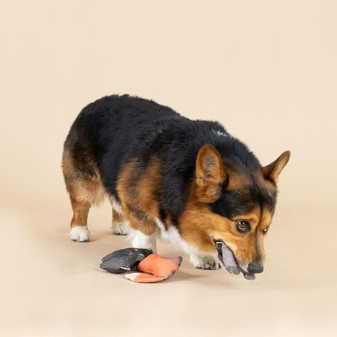 Fringe Studio "Forest Friends Canvas Dog Toy, Mini Toy Set of 3, PetShop Collection (521020) in Saudi Arabia