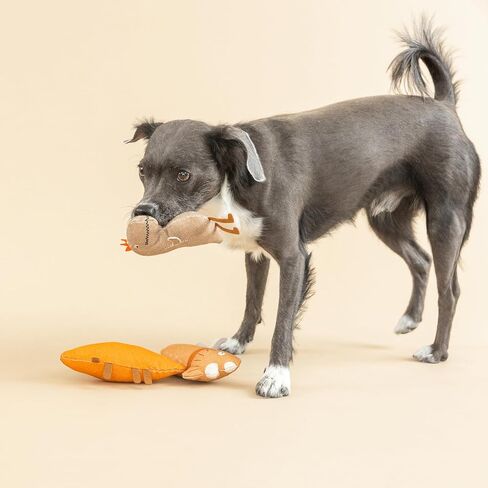 Fringe Studio "Forest Friends Canvas Dog Toy, Mini Toy Set of 3, PetShop Collection (521020) in Saudi Arabia