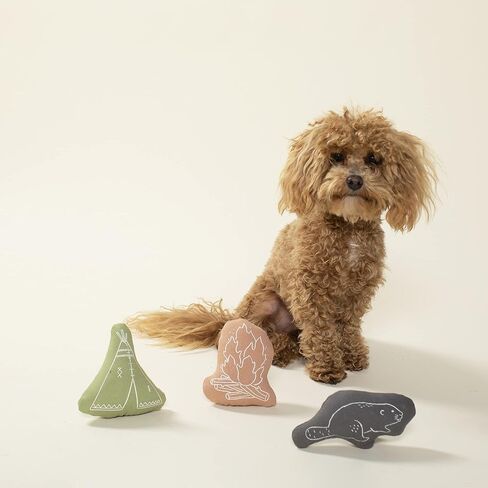 Fringe Studio "Forest Friends Canvas Dog Toy, Mini Toy Set of 3, PetShop Collection (521020) in Saudi Arabia