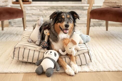 Harry Barker Dog Plush Toy Collection - Panda in Saudi Arabia