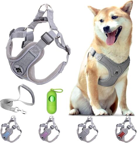 Patas Lague Dog Harness with Leash Set for Medium Dogs, No Pull No Choke Reflective Step in X Head Pet Harness Vest with Poop Bags and Dispenser, Adjustable and Padded, Grey Large in Saudi Arabia