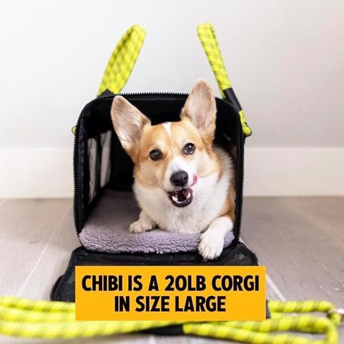 ROVERLUND Airline-Compliant Pet Carrier | Includes Leash | for Pets up to 20lbs in Saudi Arabia