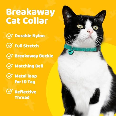 طوق BirdsBeSafe® Break Away للقطط مع جرس، خيط عاكس للرؤية الليلية، طوق قطط مطاطي مريح لحماية القطة من التعلق في الحديقة. in Kuwait
