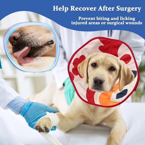 مخروط ناعم بدون نباح للكلاب، طوق E مريح للكلاب بعد الجراحة لوقف لعق الخدش والعض، مخروط ناعم للكلاب الكبيرة والمتوسطة والصغيرة، طوق إليزابيث قابل للتعديل in Kuwait