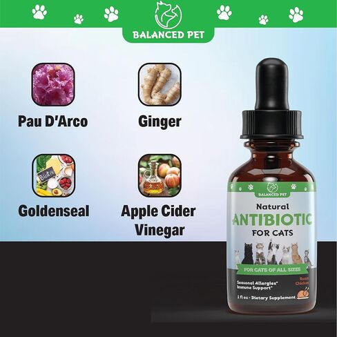 مضاد حيوي طبيعي للقطط :: مضادات حيوية للقطط :: مضادات حيوية للقطط :: مضاد حيوي للقطط :: مضادات حيوية للقطط لعلاج التهاب المسالك البولية :: التهاب المسالك البولية في القطط :: علاج التهاب المسالك البولية في القطط :: المضادات الحيوية لالتهاب المسالك البولية  in Kuwait