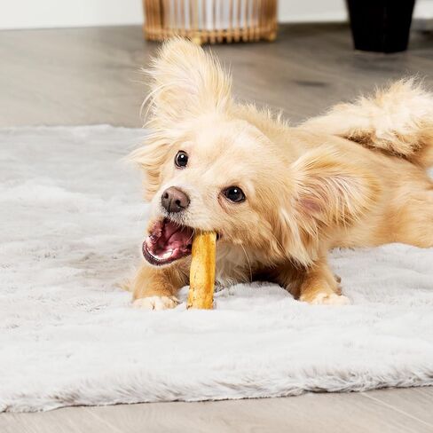 American Sourced Beefhide Mini Rolls 3-3.5" Dog Chew Treats - Chicken Flavor, 40 Count/1 Pack in Saudi Arabia