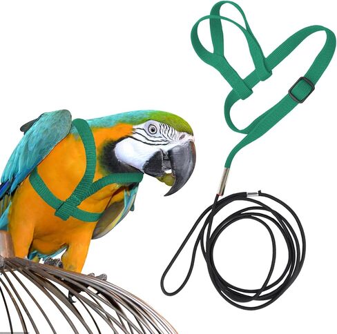 Large Bird Harness and Leash, Bird Harness for Large Parrot, Adjustable Parrot Training Flight Harness Leash for Medium Large Bird Parrot African Grey Amazon Macaw (Green, S) in Saudi Arabia
