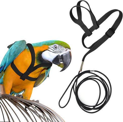 Large Bird Harness and Leash, Bird Harness for Large Parrot, Adjustable Parrot Training Flight Harness Leash for Medium Large Bird Parrot African Grey Amazon Macaw (Green, S) in Saudi Arabia