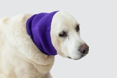 Cat Ear Muffs for Scratching Recovery Grey in Saudi Arabia