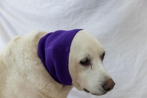 Cat Ear Muffs for Scratching Recovery Grey in Saudi Arabia